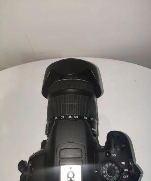 stock
