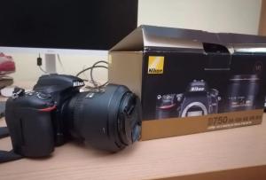 stock
