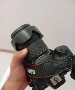 stock