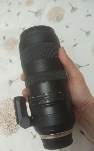 stock