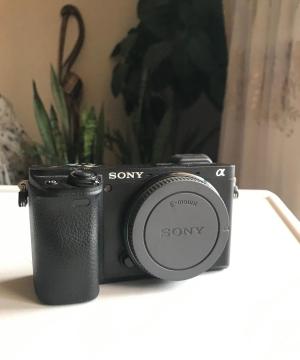 stock