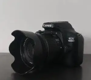 stock