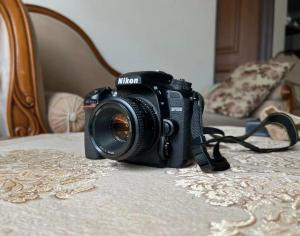 stock