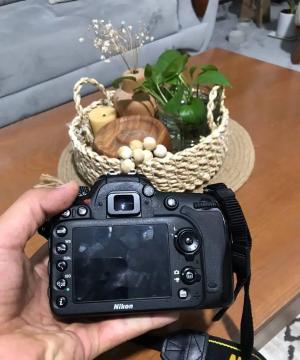 stock