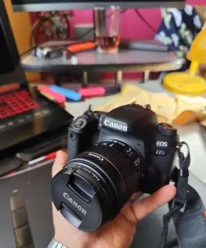 stock