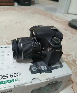 stock