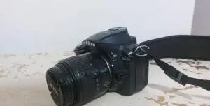 stock