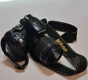 stock