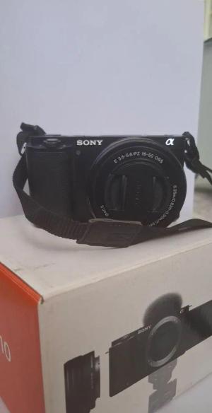 stock