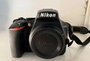 stock