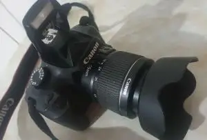 stock
