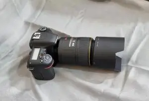 stock
