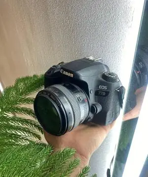 stock