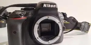stock