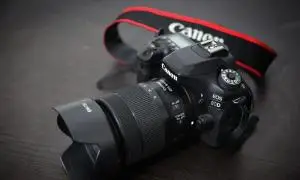 stock