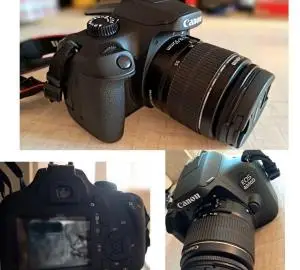 stock