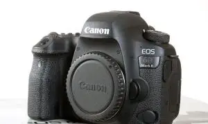 stock
