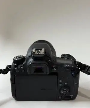 stock