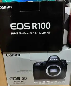 stock