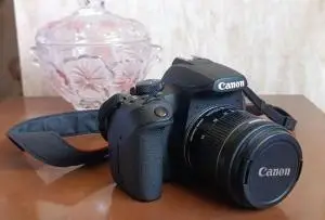 stock