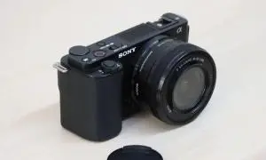 stock