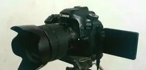 stock