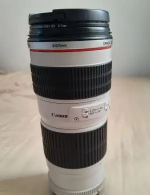 stock