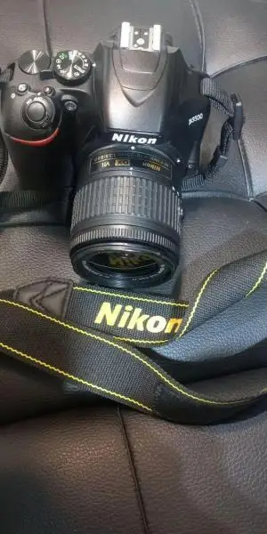 stock