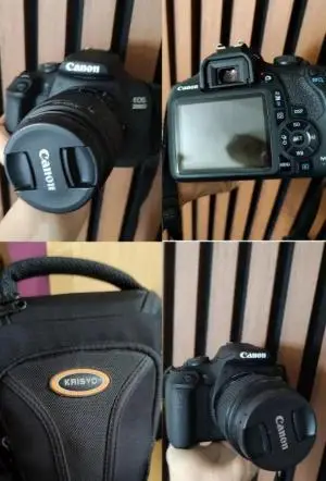 stock
