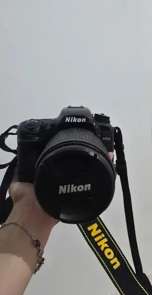 stock