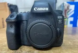 stock