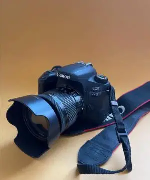 stock