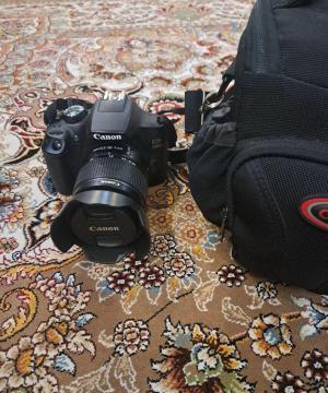 stock