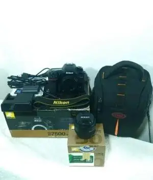 stock