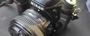 stock