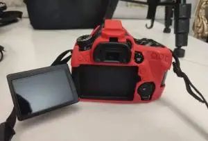 stock
