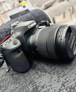 stock