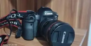 stock