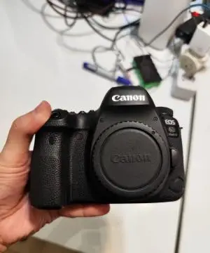 stock