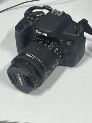 stock