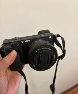 stock