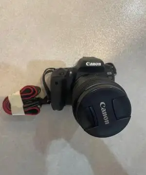 stock