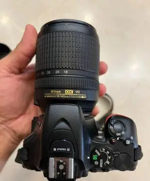 stock