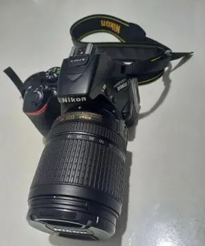 stock