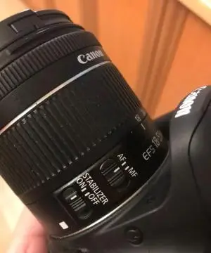 stock