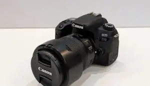 stock