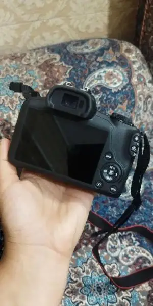stock