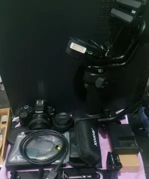stock