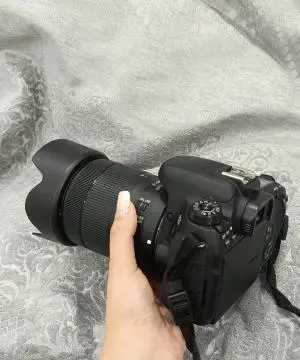stock