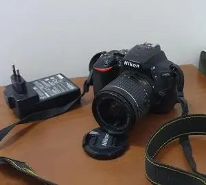 stock